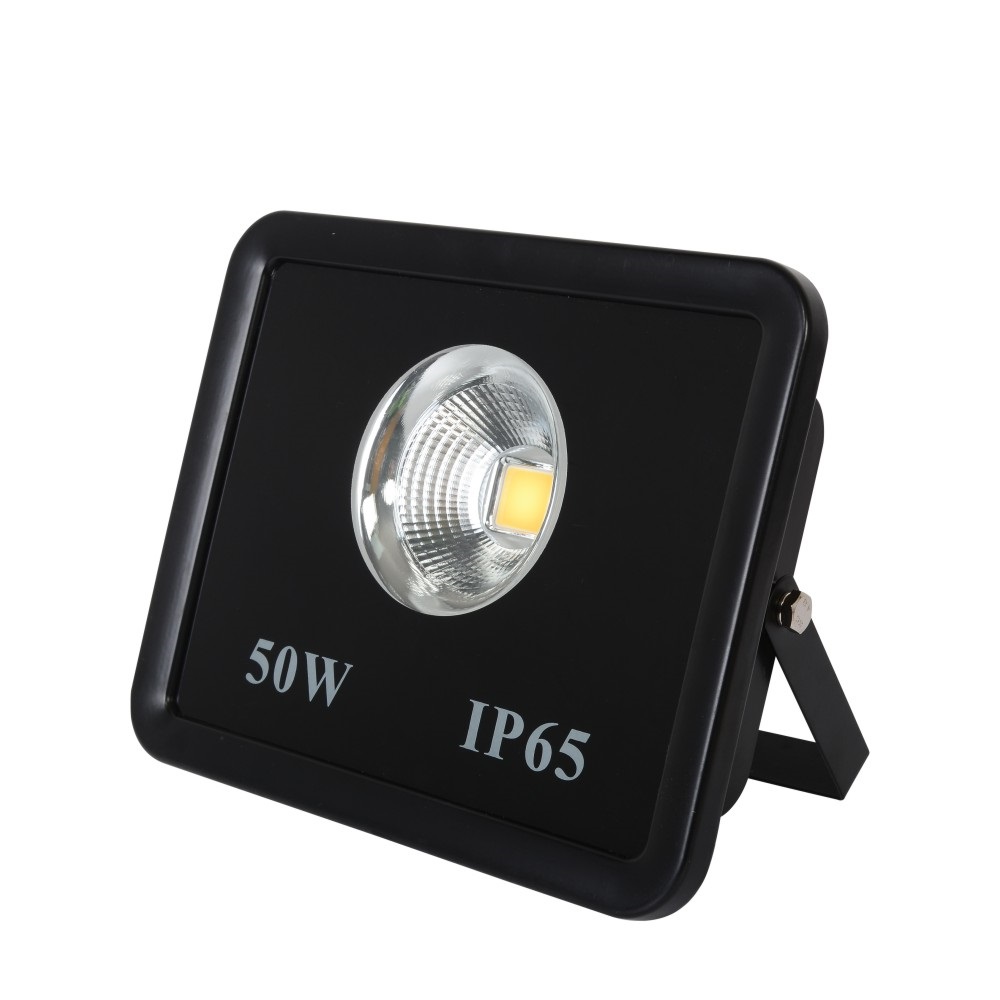 CET-103 50W with CE BIS Outdoor IP65 led reflector 50w