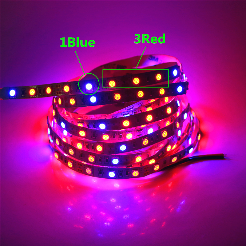 DC12V LED Grow light Full Spectrum 5M LED Strip light 5050 LED Phyto Plant Growth lamps For Greenhouse Hydroponic Plant Growing