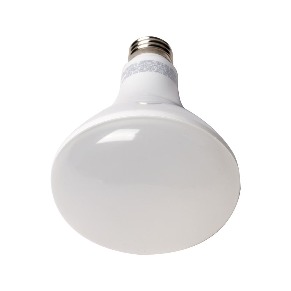 BR led bulb