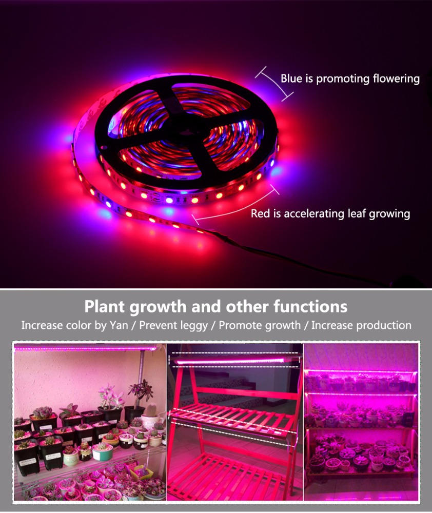 12V SMD 5050 Agriculture Led Plant Grow Light Strip led plant grow light strip flexible 5 red 1 blue