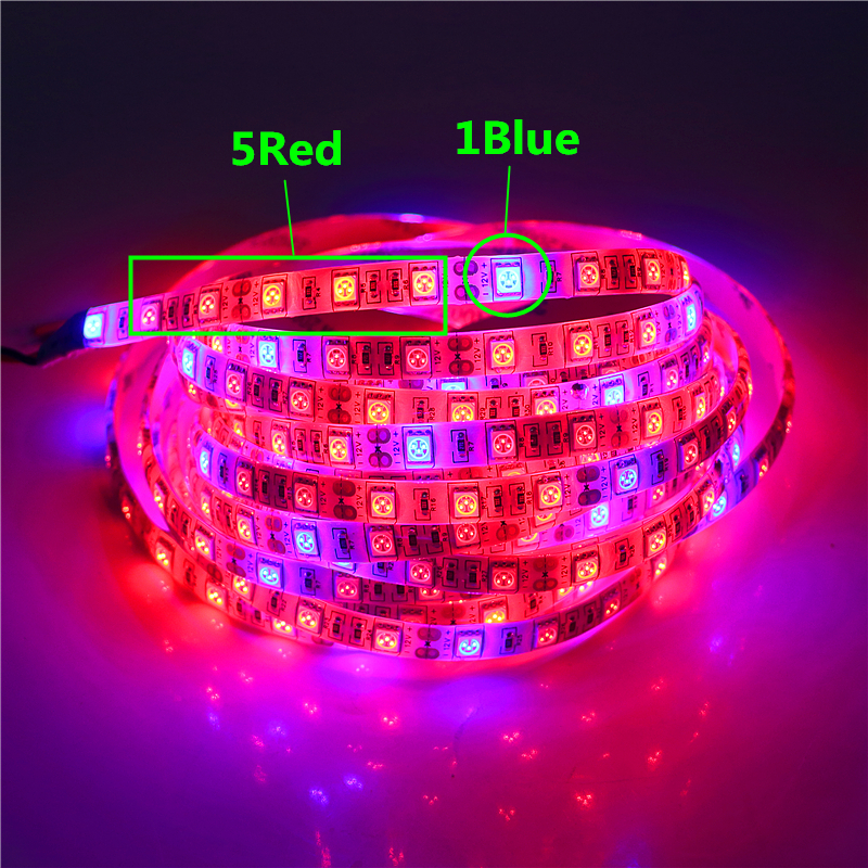 LED Grow Lights 30M 20M 15M 10M 5M DC 12V Waterproof Plant Growing LED Strip Light Flexible tape 60led/m with Power Switch