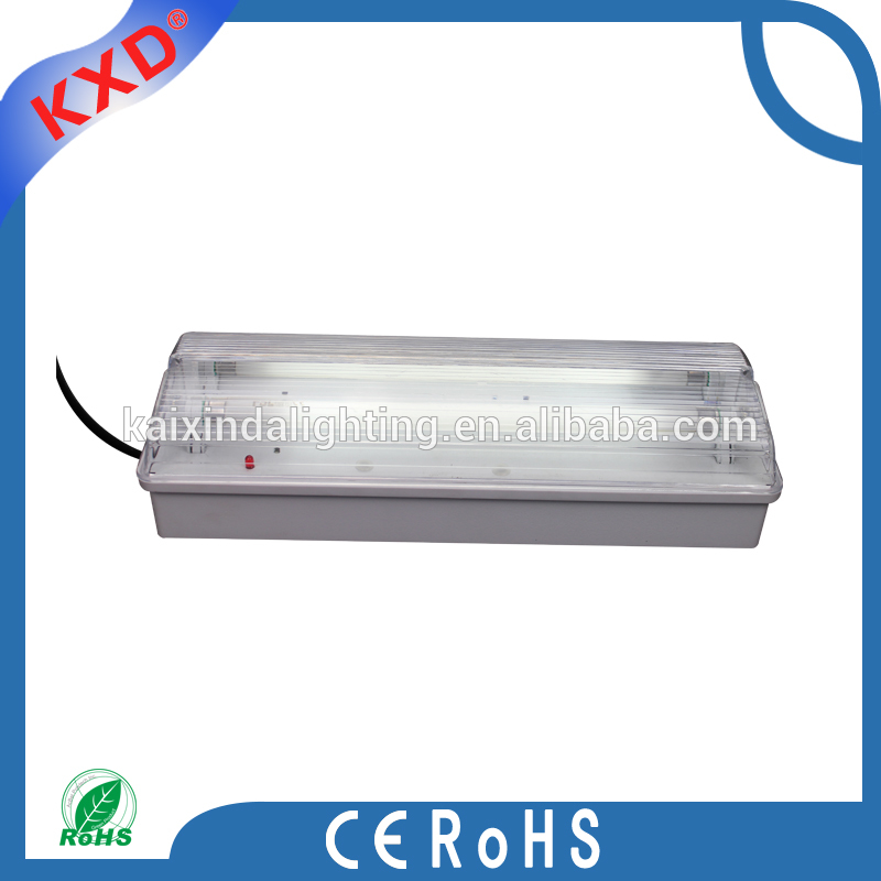 IP 65 automatic emergency light