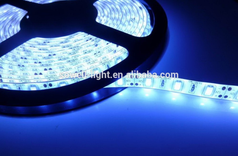 24v 5630SMD 14.4W 5M CE Standard blue color IP65 flex LED Strips