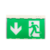 Self Luminous Safety Powered Led Test Emergency Exit Sign