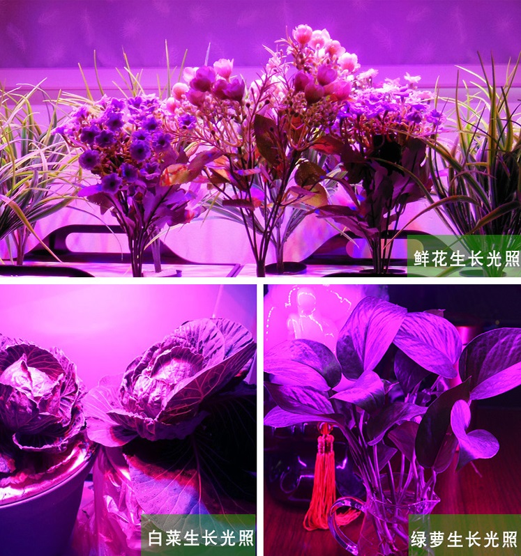 Led Grow Light Panel Led Grow Light Housing Hydroponic Plant Led Grow Strip Lights