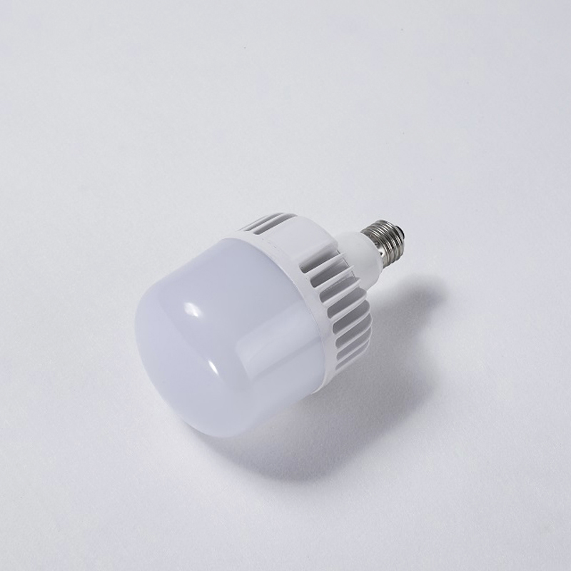 Aluminum die-casting high power competitive price 50w 70w 100w light bulb