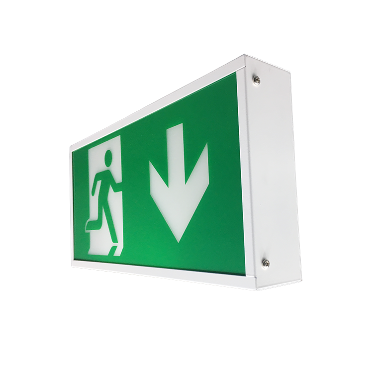 Edge Lit Led Light Board Silk Screen Printed Luminescent Ceiling Mounted Emergency Exit Sign Bulkhead