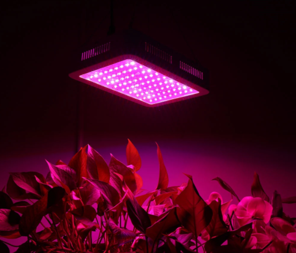 LED Plant Growing lamp High power series 1000W lumens Led Grow Light