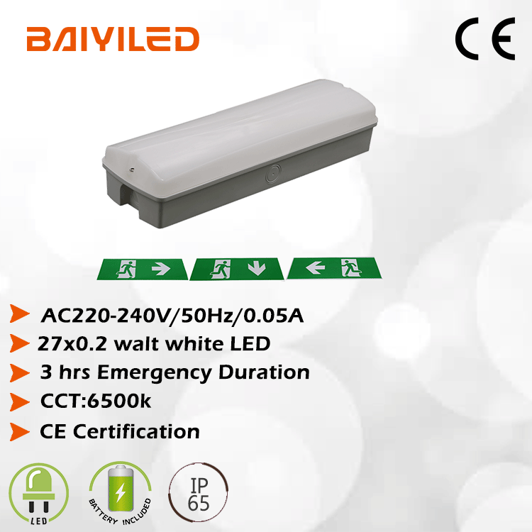 Baiyi back-up led emergency light backup lamp battery