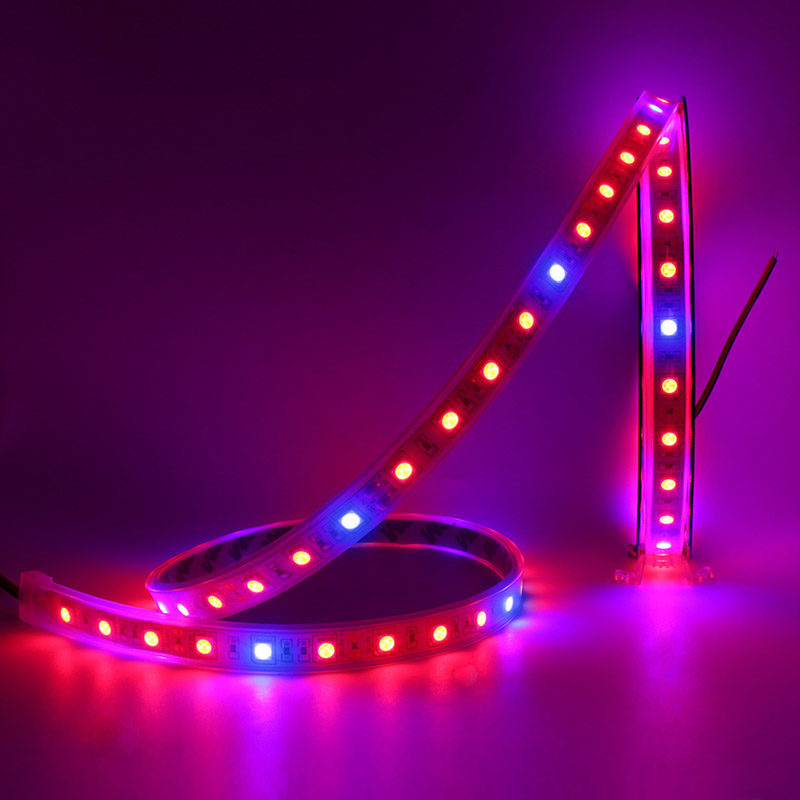 DC 12V 3:1 4:1 5:1 Red/Blue SMD 5050 Hydroponic Plant Led Grow Strip dc12v smd 5050 led plant grow light strip