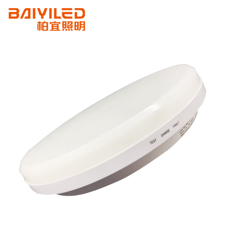 220V Outdoor Lighting Led Diffuser Main Only Ceiling Light Surface