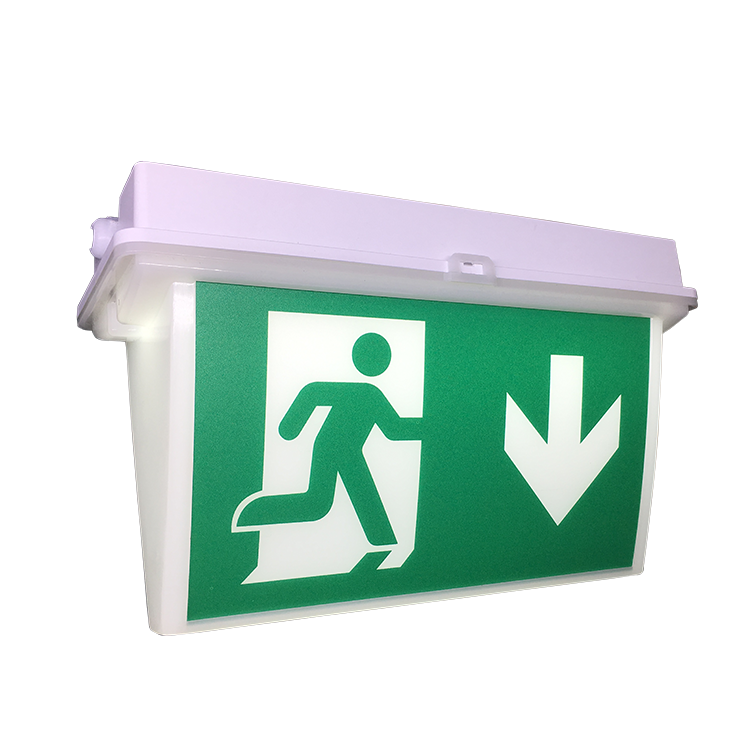 5W Emergency Lighting Double Sided Canada Market Led Exit Sign Buzzing