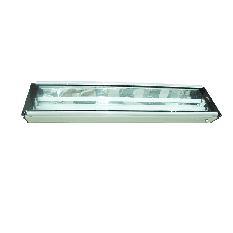 IP65 Tri-proof emergency ceiling light for tunnel