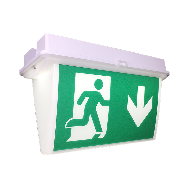 2019 2017 New Sale Best Signsexit Ip65 Led Emergency Exit Sign Saa