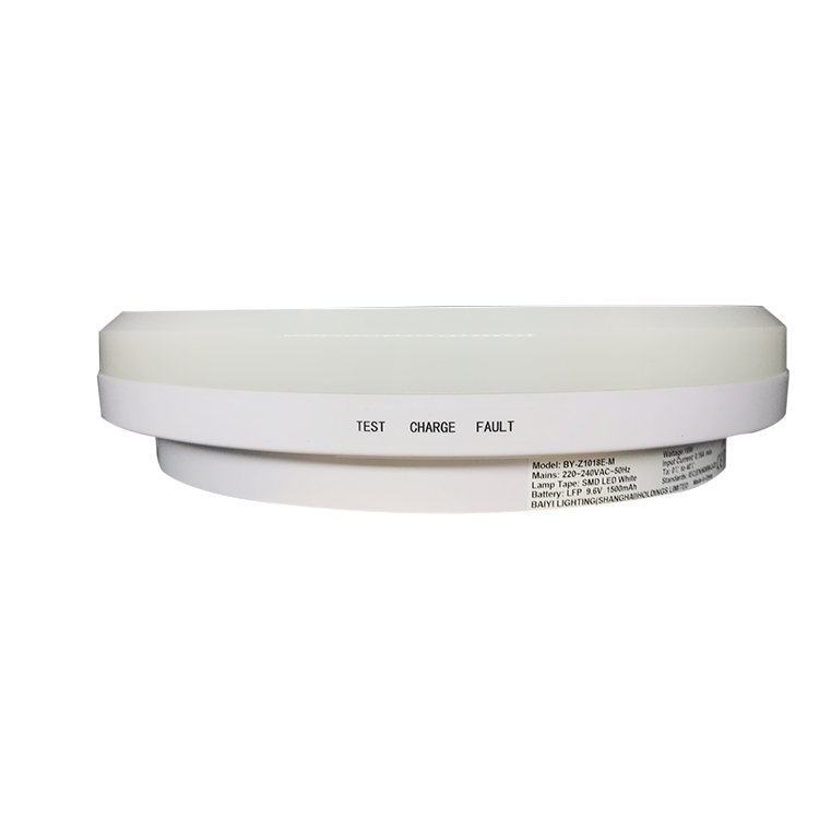 IP65 Rate Creative Daylight Led White Flush Mount Diameter 1000mm Ceiling Light