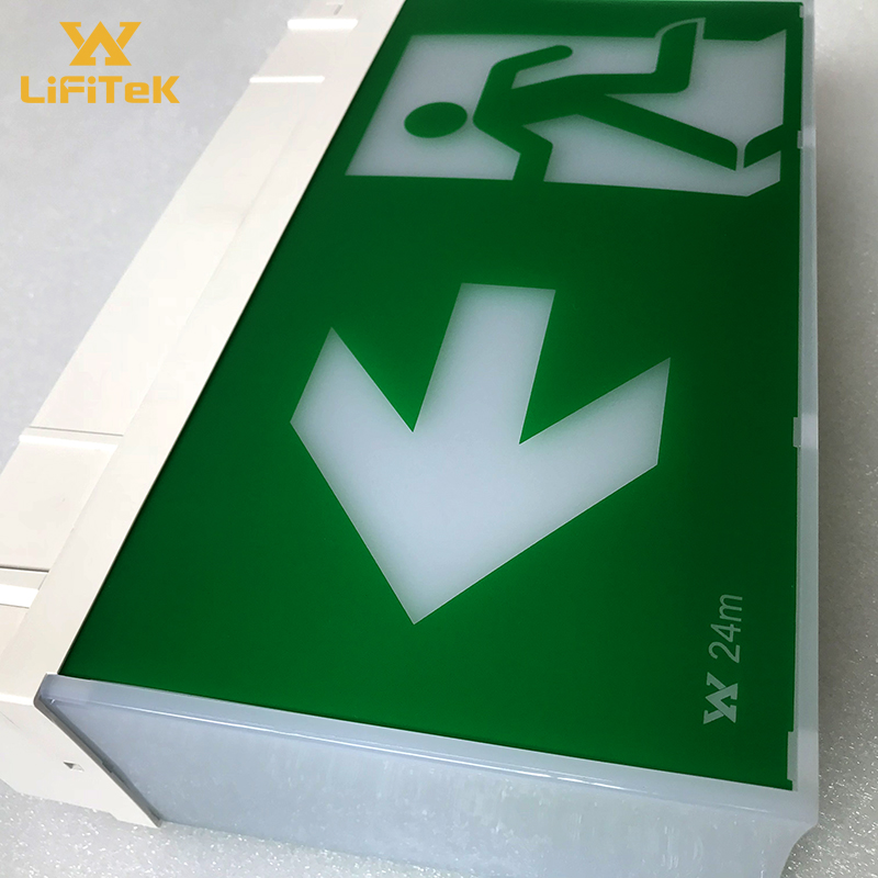 Hot new products battery backup emergency light 5w self-test function emergency escape signs