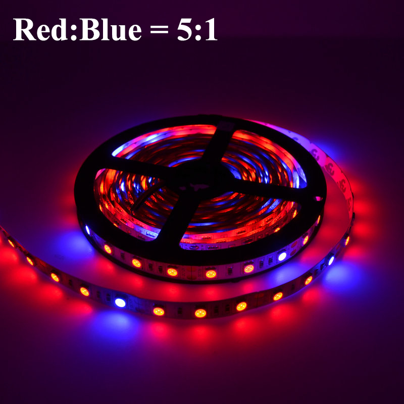 Plant Grow lights Full Spectrum LED Strip Flower phyto lamp 5m Waterproof Red blue 4:1 for Greenhouse Hydroponic+Power adapter
