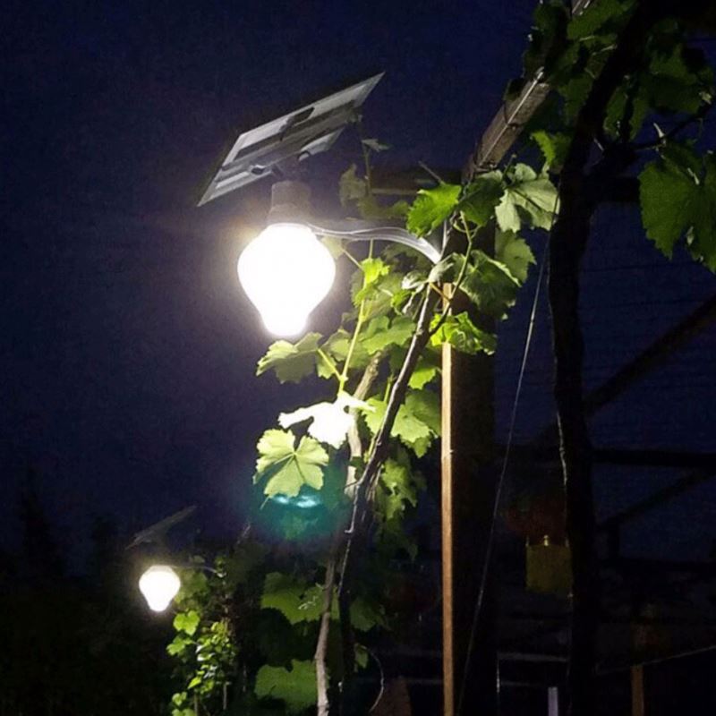 Best selling low price 3w led solar street light