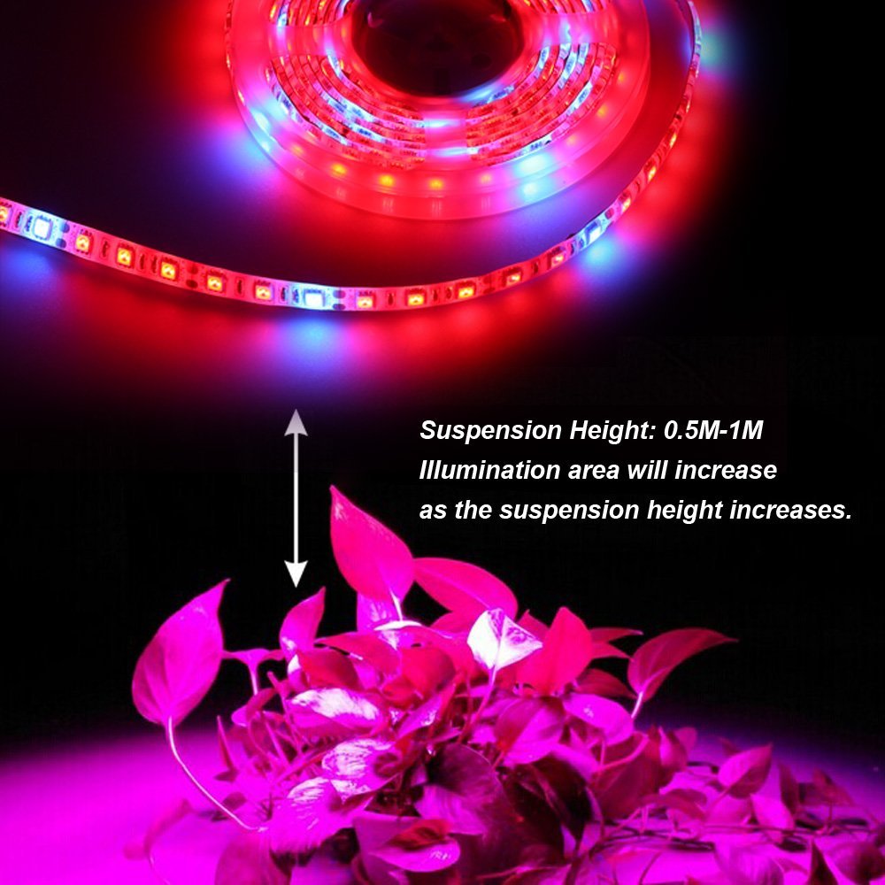 5050 LED Plant Grow Lights 50cm 1m 2m 3m 4m 5M Waterproof DC12V Red Blue 3:1, 4:1, 5:1,for Greenhouse Hydroponic Plant Growing