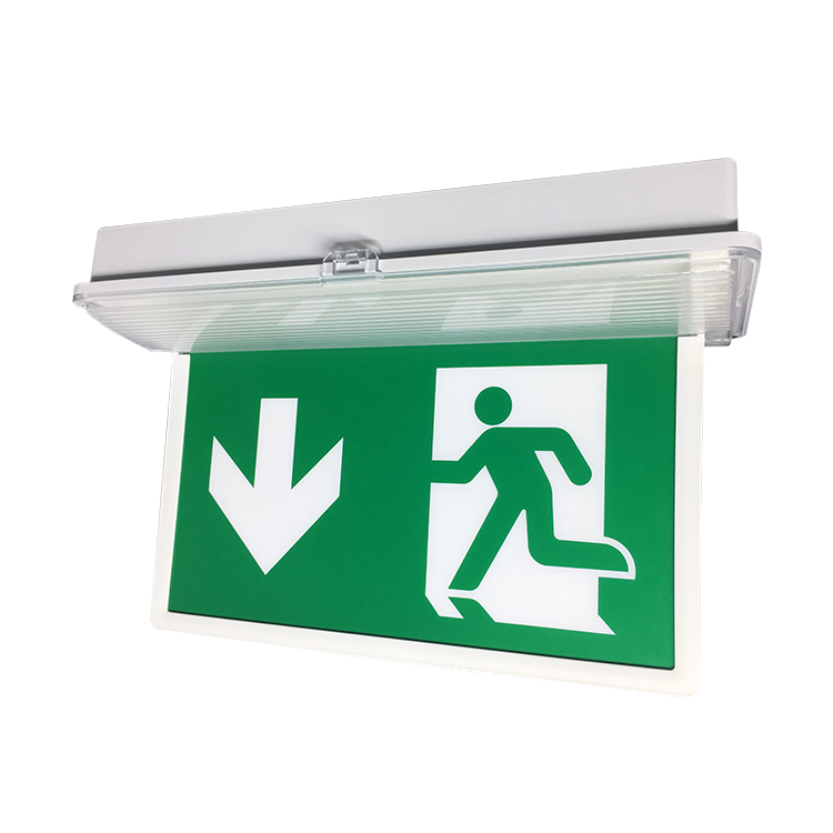 Steel Super Durable Led Surface Edge Lit Exit Sign