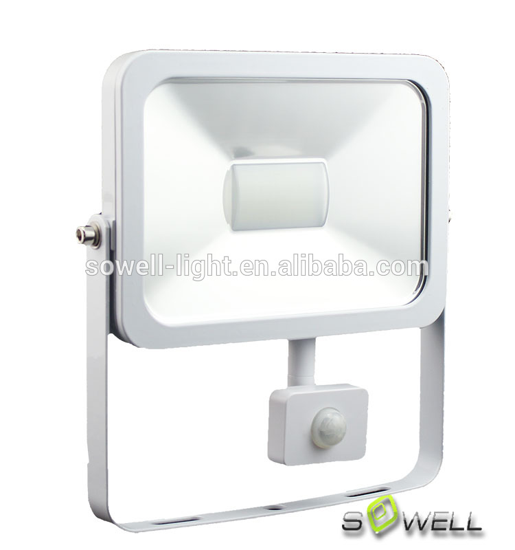 10W aluminum flood outdoor light with IR sensor