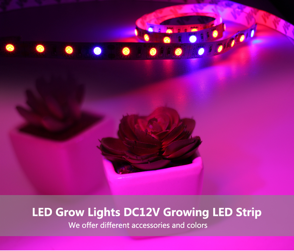 Led grow strip factory supply 50w 3 chips IP65 waterproof led grow strip lighting 5050 led strip grow lights
