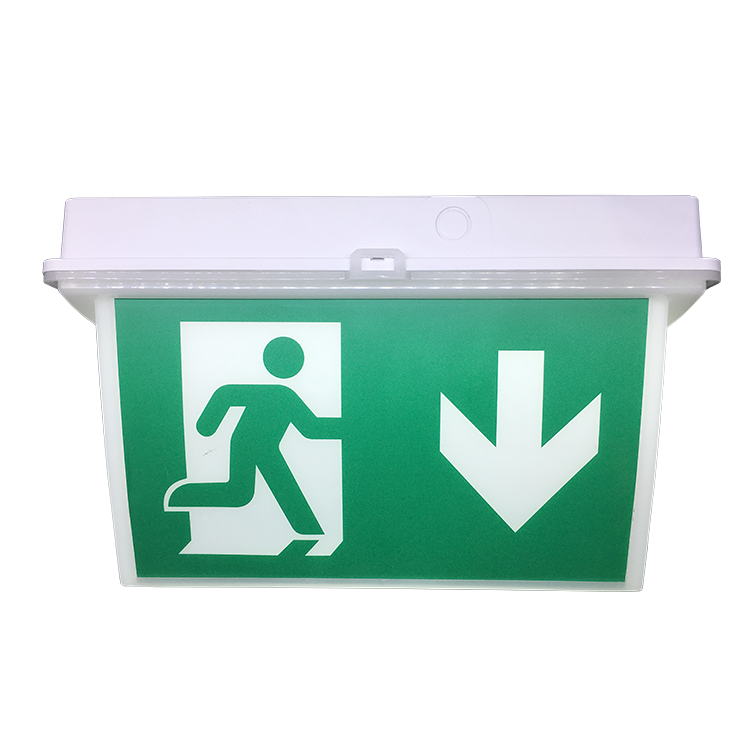 Doubleside Emergency Light Ceiling Mount 6500k Led Exit Sign