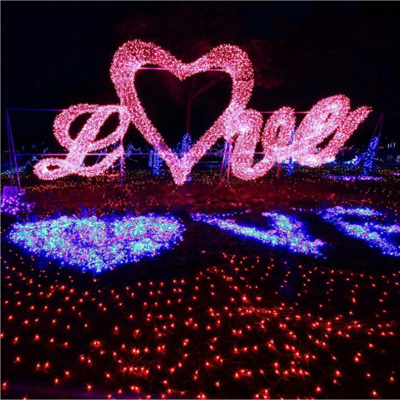 Best Selling Transparent Ice Flower Led String Light Christmas Decorative Ice Flower String Light For Christmas Party Tree