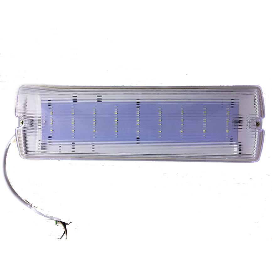 Emergency  battery backup LED bulkhead light