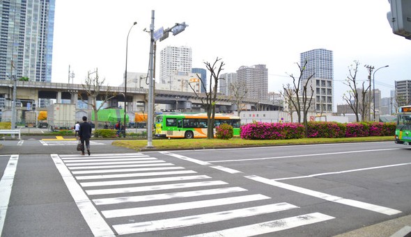 Intelligent Pedestrian Zebra Crossing Lights GS-JT/B