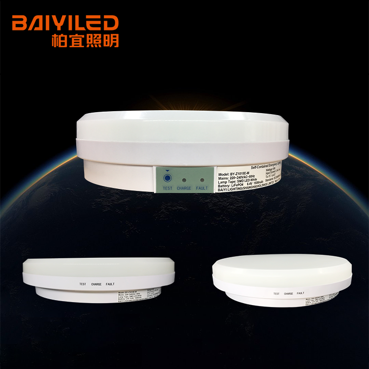 6500K Led Home Modern Ceiling Light For Kitchen