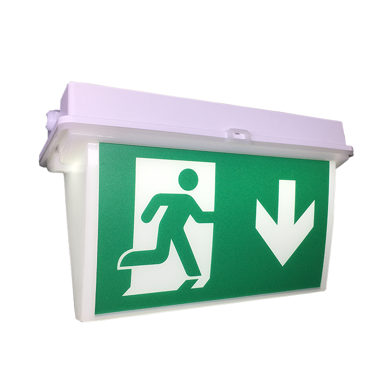 1.2v Light 100w Aluminum Panel 10w Led Exit Sign With Emergency Light