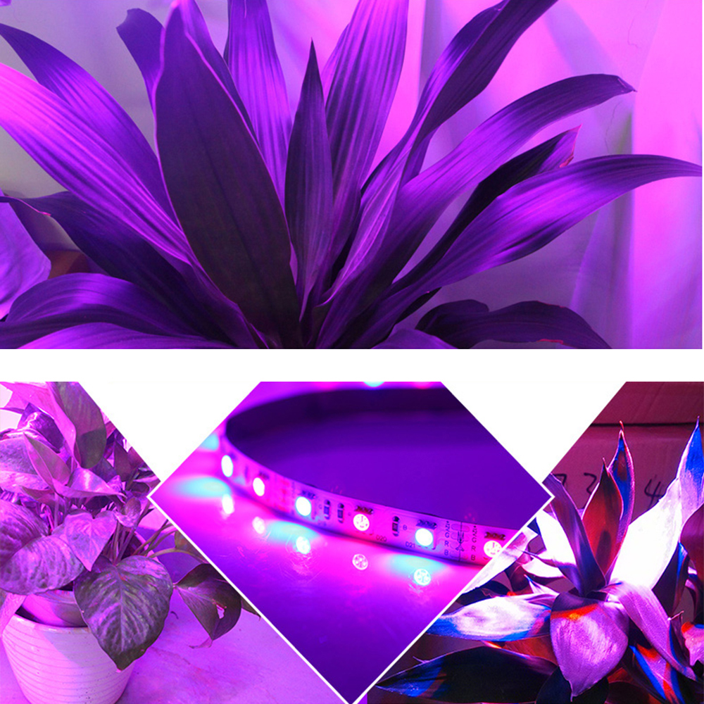 5050 IP65 waterproof multicolor grow led lights strip best for hydroponics green house