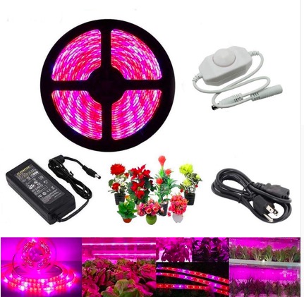 5050 led Plant Grow lights Full Spectrum 100 watt/300w/600w/1000 watt LED COB Grow Lighting for Plants