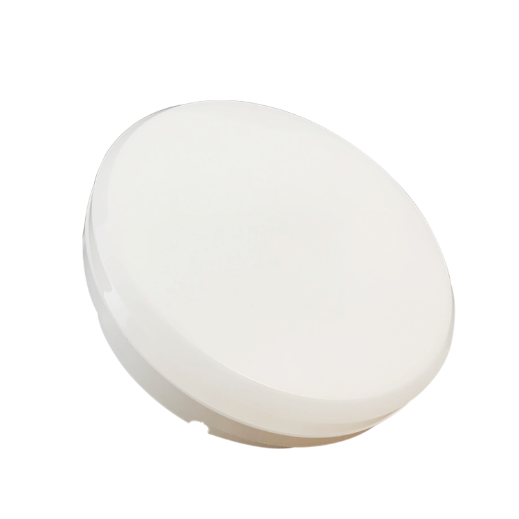 Opal Diffuser Luminaire Outdoor Lamp Rechargeable Emergency Design Surface Ceiling Light