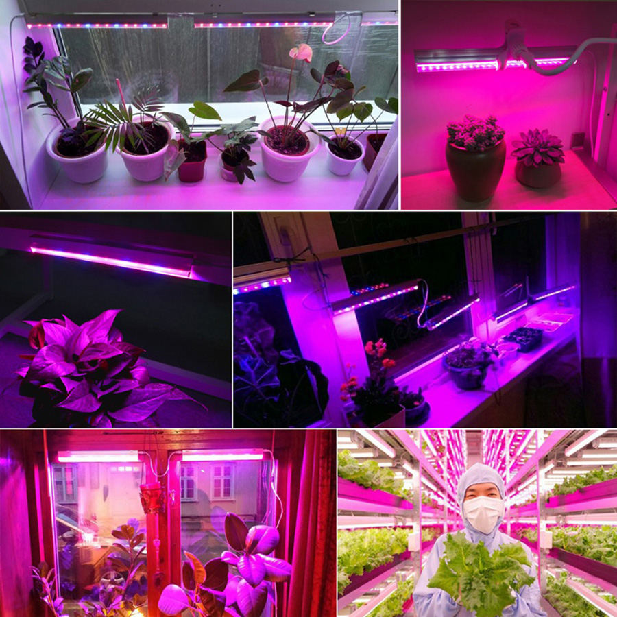 5050 led Plant Grow light 2019 New product LED Grow Light Kits 100W Greenhouse Full Spectrum CXB3590 COB LED Grow Light