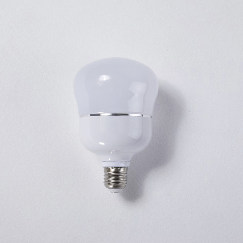 Aluminum with plastic high power competitive price 20-100w led lighting source bulb for guard