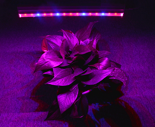 5630 50cm smd 5730 led rigid strip Full spectrum LED Grow light 18W lamp