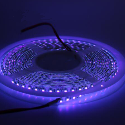 5M 12V Waterproof 2835 Flexible LED Strip Light 2835 UV purple led strip light 120leds/m 16.4f