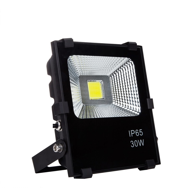 30W COB LED Flood Light With Metallic Clip