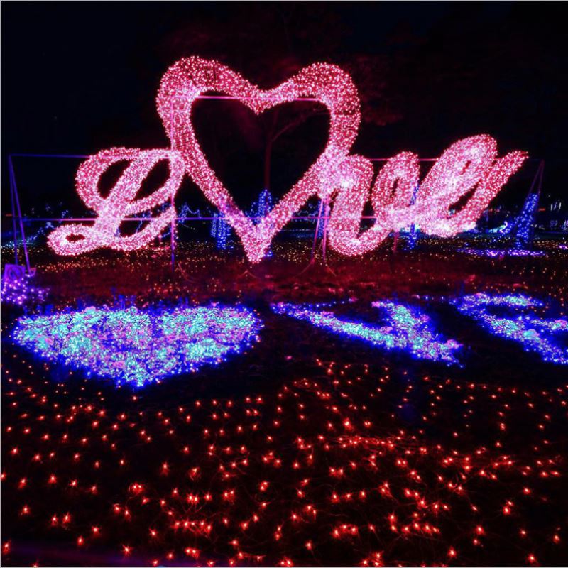 Birthday party decoration happy birthday colorful words led string light