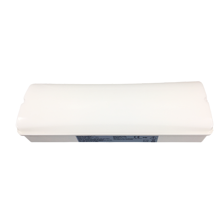 2D Emergency Luminaire Wall Light Ip65 Bulkhead Fixture Led