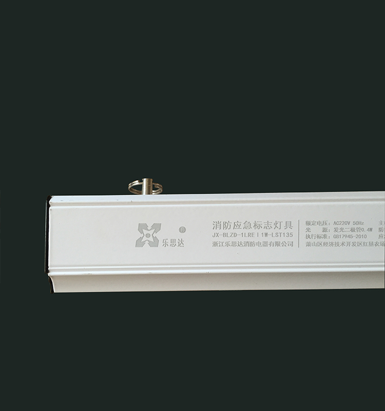 All glass LED Emergency exit sign Ceiling Light