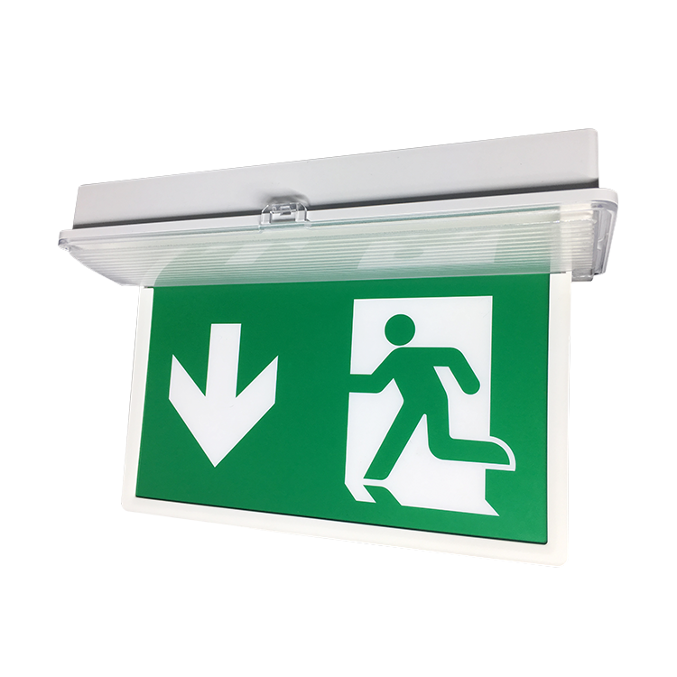 Steel Super Durable Led Surface Edge Lit Exit Sign