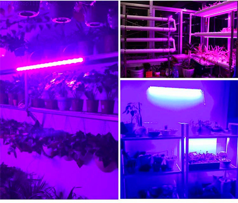 red blue hydroponic grow systems 5630 led strip light 5050 led plant grow strip light waterproof