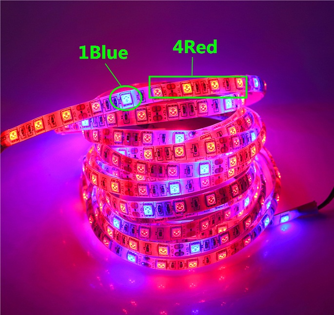 High quality 12v smd 5050 led plant grow light strip IP65 waterproof smd 5050 led plant grow light strip