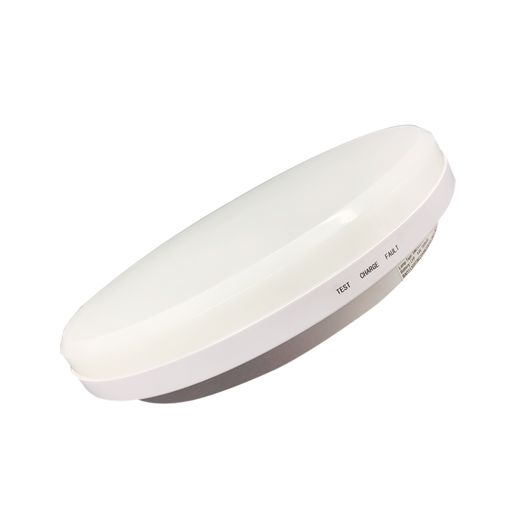Led Recessed China Jee2rwe Oval Ceiling Light