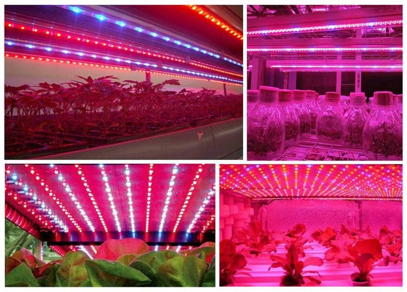 5730 grow light DC12V 0.5m 1M 5630 Led bar rigid strip IP68 Waterproof plant grow light Red Blue 4:1