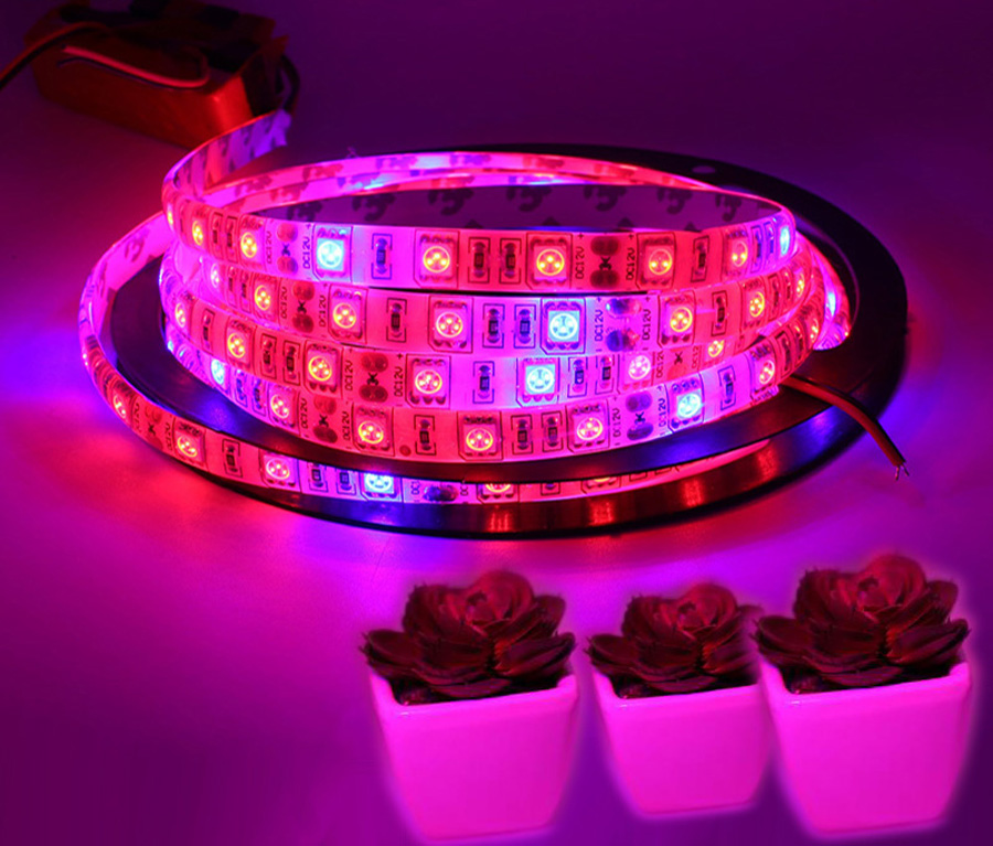 5050 led Plant Grow lights LED Plant Grow Lamp LED Grow Light for Indoor Garden Full Spectrum LED Strip Flower 5m Waterproof