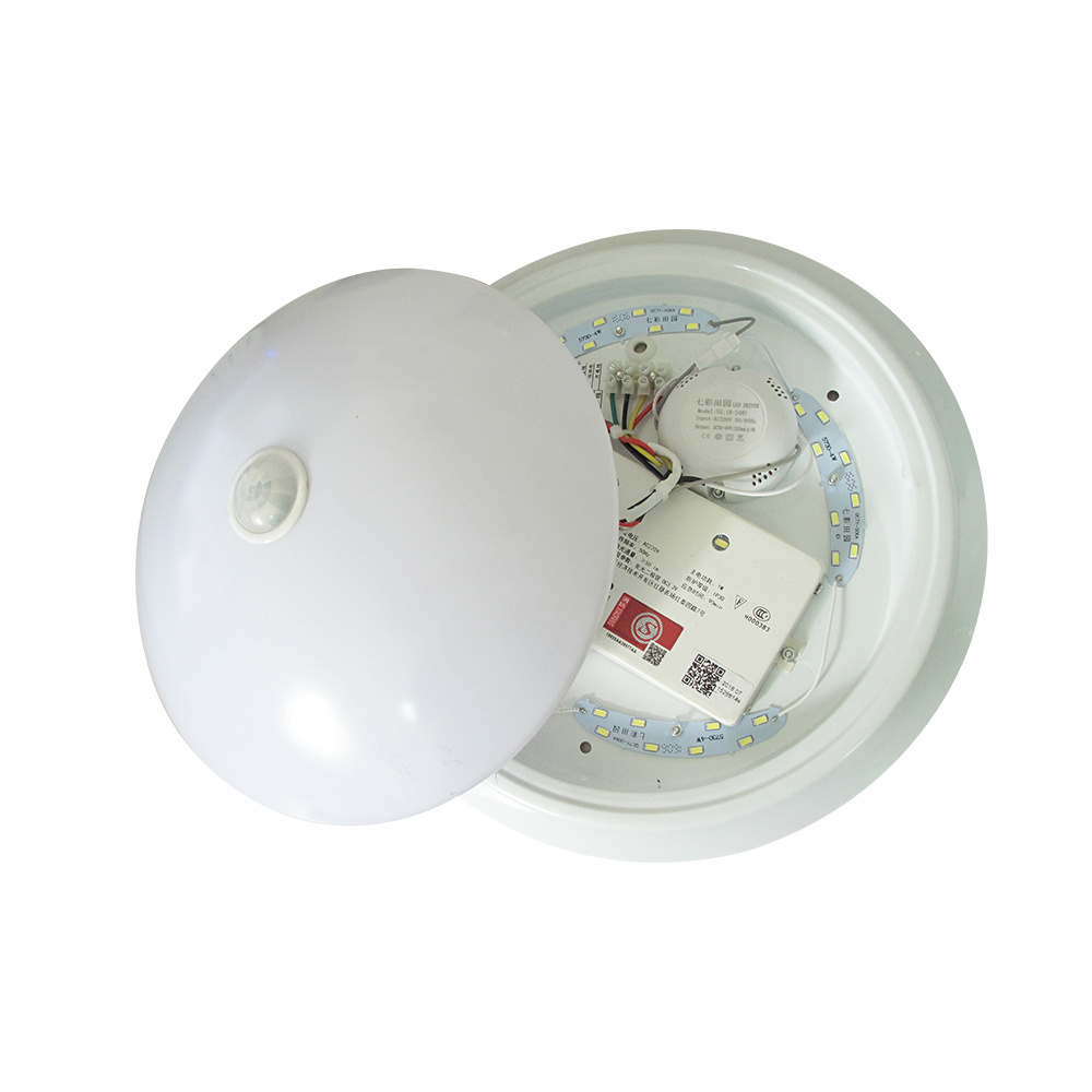 luckstar LED light source module and emergency light with perfect design